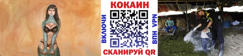 Где купить Мглин мега tor  Альфа ПВП  МЕФ  Cocaine  Бошки Шишки 
