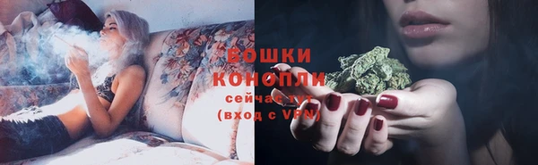 дмт Ладушкин